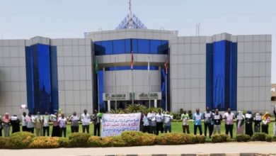 شركة كنانة ترصد 200 مليون جنيه للمسؤولية المجتمعية 6 المسار نيوز شركة كنانة ترصد 200 مليون جنيه للمسؤولية المجتمعية