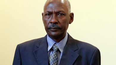 وزير الدفاع و جان بيير يبحثان قضايا تفويص اليونسفا بابيى 5 المسار نيوز وزير الدفاع و جان بيير يبحثان قضايا تفويص اليونسفا بابيى