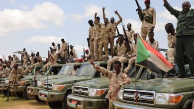 الدعم السريع يقوم بعمليات تمشيط أمني واسعة بجبل مرة 3 المسار نيوز الدعم السريع يقوم بعمليات تمشيط أمني واسعة بجبل مرة