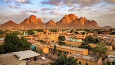 حكومة كسلا تكثف جهودها لمحاصرة الحميات النزفية 2 المسار نيوز حكومة كسلا تكثف جهودها لمحاصرة الحميات النزفية