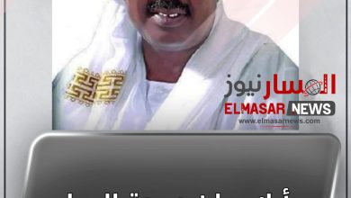أيلا يعلن وحدة البجا 5 المسار نيوز أيلا يعلن وحدة البجا