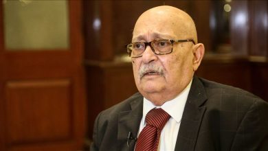 أديب: دستور المحامين يعرقل الحل السياسي 4 المسار نيوز أديب: دستور المحامين يعرقل الحل السياسي