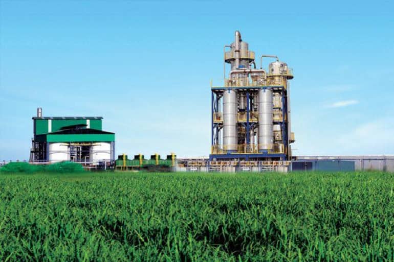 شركة سكر كنانة تتوقع إنتاج 250 ألف طن سكر العام المقبل 1 المسار نيوز شركة سكر كنانة تتوقع إنتاج 250 ألف طن سكر العام المقبل