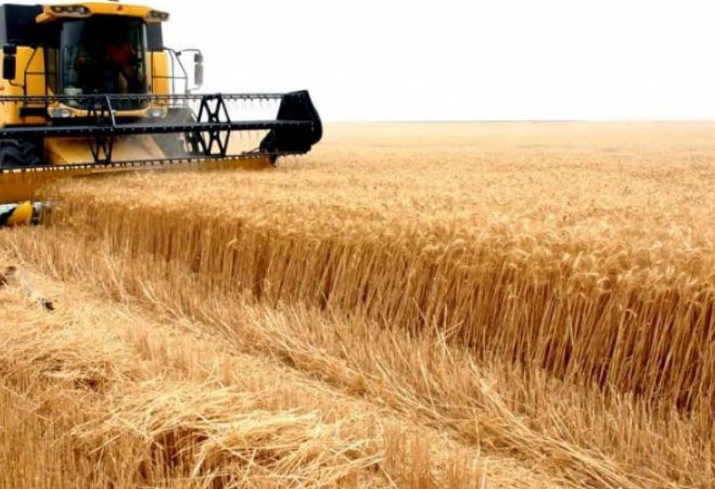 مسؤول بمشروع الجزيرة : مؤهلون لتوفير 50% من إحتياجات السودان للقمح 1 المسار نيوز مسؤول بمشروع الجزيرة : مؤهلون لتوفير 50% من إحتياجات السودان للقمح