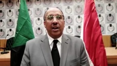 المحجوب يؤكد شمولية مبادرة شكرا مصر 4 المسار نيوز المحجوب يؤكد شمولية مبادرة شكرا مصر