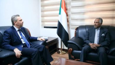وكيل وزارة الخارجية المكلف يلتقي بالسفير الروسي 3 المسار نيوز وكيل وزارة الخارجية المكلف يلتقي بالسفير الروسي
