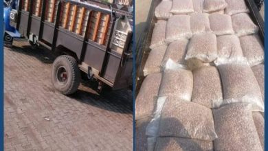 مكافحة التهريب البحر الأحمر تحبط تهريب (520) جوال فول مصري 6 المسار نيوز مكافحة التهريب البحر الأحمر تحبط تهريب (520) جوال فول مصري