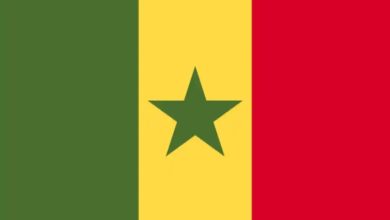 السنغال تعلن عزمها تطوير التعاون مع السودان 3 المسار نيوز السنغال تعلن عزمها تطوير التعاون مع السودان