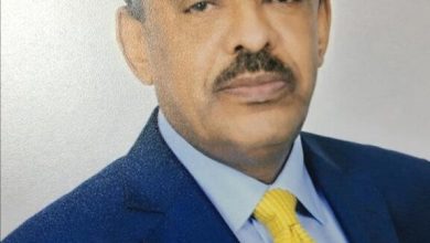 مراجعة وتفعيل القوانين الخاصة بضبط حركة الوجود الأجنبي في السودان 3 المسار نيوز مراجعة وتفعيل القوانين الخاصة بضبط حركة الوجود الأجنبي في السودان