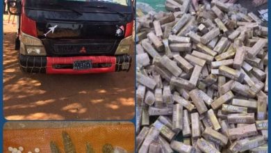 مكافحة المخدرات البحر الأحمر فرعية جبيت تضبط حبوب ممنوعة وقناديل حشيش 5 المسار نيوز مكافحة المخدرات البحر الأحمر فرعية جبيت تضبط حبوب ممنوعة وقناديل حشيش