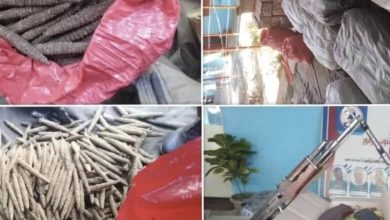 ضبط (855)رأس حشيش وملابس (قوقو) وسلاح بجنوب دارفور 4 المسار نيوز ضبط (855)رأس حشيش وملابس (قوقو) وسلاح بجنوب دارفور