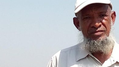 توقُّعات بإنتاج “15” جَوَّالاً لفدان القمح بحلفا 3 المسار نيوز توقُّعات بإنتاج “15” جَوَّالاً لفدان القمح بحلفا
