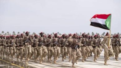 الجيش ينفذ مشروع تمرين تعبوى بسلسلة جبال العين 3 المسار نيوز الجيش ينفذ مشروع تمرين تعبوى بسلسلة جبال العين