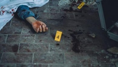 العثور على جثتي شاب وفتاة مذبوحين بغابة السنط 2 المسار نيوز العثور على جثتي شاب وفتاة مذبوحين بغابة السنط