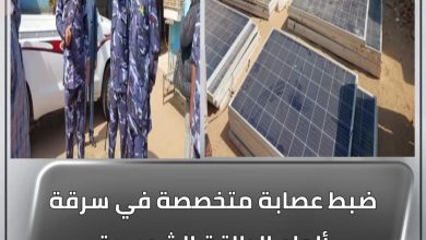 ضبط عصابة متخصصة في سرقة ألواح الطاقة الشمسية وملحقاتها بالشمالية 4 المسار نيوز ضبط عصابة متخصصة في سرقة ألواح الطاقة الشمسية وملحقاتها بالشمالية