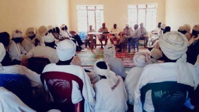قوات مشتركة لتأمين الحدود بين السودان وأفريقيا الوسطى 4 المسار نيوز قوات مشتركة لتأمين الحدود بين السودان وأفريقيا الوسطى