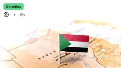دراسة علمية تؤكد أن السودان اصل البشرية 5 المسار نيوز دراسة علمية تؤكد أن السودان اصل البشرية