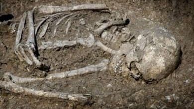 اكتشاف (هياكل بشرية) من العصر الحجري بشندي 4 المسار نيوز اكتشاف (هياكل بشرية) من العصر الحجري بشندي