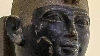 تحريك تمثال الملك تهراقا من موقعه عند مدخل المتحف إلى داخل المتحف بعد غد السبت 2 المسار نيوز تحريك تمثال الملك تهراقا من موقعه عند مدخل المتحف إلى داخل المتحف بعد غد السبت