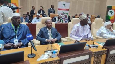 بمشاركة السودان المؤتمر الافريقي لتعزيز السلم يختتم أعماله 5 المسار نيوز بمشاركة السودان المؤتمر الافريقي لتعزيز السلم يختتم أعماله