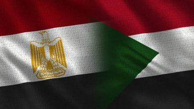 ورشة القاهرة تنطلق غدا من أجل حوار سوداني سوداني 6 المسار نيوز ورشة القاهرة تنطلق غدا من أجل حوار سوداني سوداني