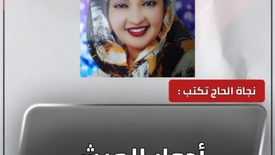 أدوار الجيش 6 المسار نيوز أدوار الجيش