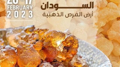 إنطلاق مهرجان السودان للتسوق الأول بدبي في الشهر الجاري 2 المسار نيوز إنطلاق مهرجان السودان للتسوق الأول بدبي في الشهر الجاري