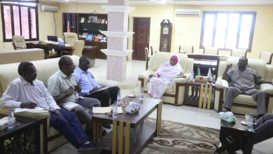 تسجيل إصابات بحمي الضنك بالقضارف وشفاء أغلبها 3 المسار نيوز تسجيل إصابات بحمي الضنك بالقضارف وشفاء أغلبها