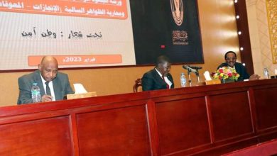 السودان الأول دولياً في جمع السلاح و300 ألف قطعة تمت ابادتها 6 المسار نيوز السودان الأول دولياً في جمع السلاح و300 ألف قطعة تمت ابادتها