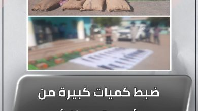 ضبط كميات كبيرة من الأسلحة والذخائر والمخدرات بالقضارف 5 المسار نيوز ضبط كميات كبيرة من الأسلحة والذخائر والمخدرات بالقضارف