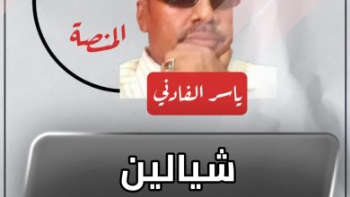 شيالين التقيلة !! 3 المسار نيوز شيالين التقيلة !!