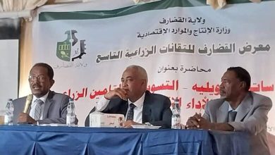 بنك السودان: إرتفاع التمويل الزراعي بالقضارف إلى (81.8) مليار 6 المسار نيوز بنك السودان: إرتفاع التمويل الزراعي بالقضارف إلى (81.8) مليار
