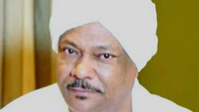 40 تذكرة طيران من أبو جيبين لعودة السودانيين من تركيا 2 المسار نيوز 40 تذكرة طيران من أبو جيبين لعودة السودانيين من تركيا