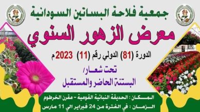 الرسم بـ(الورق) و(حبات التسالي) مشاهد بمعرض الزهور السنوي 5 المسار نيوز الرسم بـ(الورق) و(حبات التسالي) مشاهد بمعرض الزهور السنوي