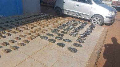 ضبط ثلاثة ألف رأس حشيش بنقو بغرب كردفان 2 المسار نيوز ضبط ثلاثة ألف رأس حشيش بنقو بغرب كردفان