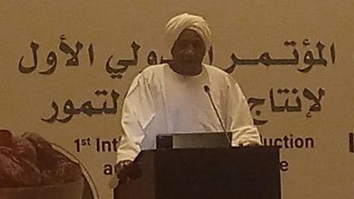 الدخيري: ٩.٧ مليون طن جملة إنتاج العالم من التمور 6 المسار نيوز الدخيري: ٩.٧ مليون طن جملة إنتاج العالم من التمور