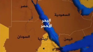 والي البحر الأحمر يؤكد دور الجمارك في دعم الاقتصاد الوطني 5 المسار نيوز والي البحر الأحمر يؤكد دور الجمارك في دعم الاقتصاد الوطني