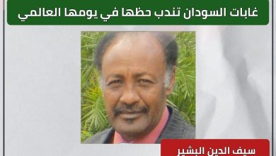من صنوبر أوريغون وحتى غابات خاوتنغ في جنوب أفريقيا.. من لاهاي وحتى هلسنكي 5 المسار نيوز من صنوبر أوريغون وحتى غابات خاوتنغ في جنوب أفريقيا.. من لاهاي وحتى هلسنكي