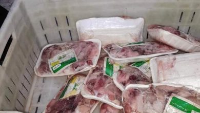الفريق الموحد لحماية المستهلك يضبط ألبان ولحوم فاسدة بولاية الخرطوم 5 المسار نيوز الفريق الموحد لحماية المستهلك يضبط ألبان ولحوم فاسدة بولاية الخرطوم