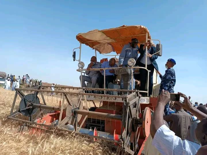 والي الجزيرة يدشن حصاد القمح بالمنسي بمشروع الجزيرة 1 المسار نيوز والي الجزيرة يدشن حصاد القمح بالمنسي بمشروع الجزيرة