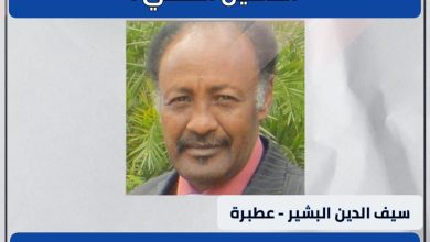 من أهرام البجراوية وحتى قاعة التأمين الصحي : 4 المسار نيوز من أهرام البجراوية وحتى قاعة التأمين الصحي :