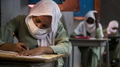 إنطلاق امتحانات المرحلة الإبتدائية بسنار الاحد المقبل 4 المسار نيوز إنطلاق امتحانات المرحلة الإبتدائية بسنار الاحد المقبل