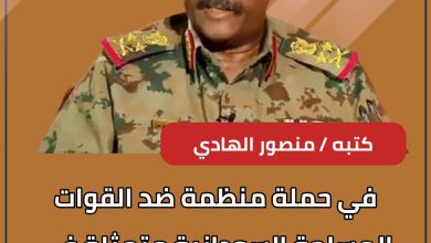 في حملة منظمة ضد القوات المسلحة السودانية متمثلة في ضرب قائد الجيش الفريق أول ركن عبدالفتاح البرهان 4 المسار نيوز في حملة منظمة ضد القوات المسلحة السودانية متمثلة في ضرب قائد الجيش الفريق أول ركن عبدالفتاح البرهان