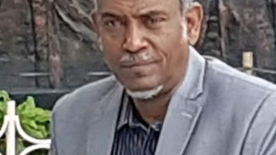 أمين حسن عمر يكتب ..شهادة شريك.. 3 المسار نيوز أمين حسن عمر يكتب ..شهادة شريك..