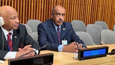 السيد وزير الخارجية علي الصادق يخاطب الاجتماع الوزاري لمنظمة التعاون الاسلامي 2 المسار نيوز السيد وزير الخارجية علي الصادق يخاطب الاجتماع الوزاري لمنظمة التعاون الاسلامي