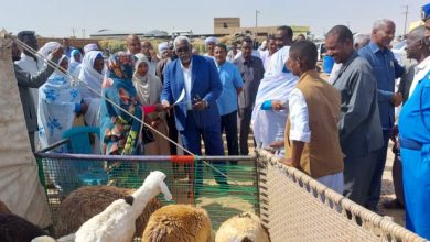 والي نهر النيل يدشن المشروعات الانتاجية للزكاه بمحلية الدامر ويشير لاهمية هذه المشروعات في اخراج الفقراء من دائرة الفقر 2 المسار نيوز والي نهر النيل يدشن المشروعات الانتاجية للزكاه بمحلية الدامر ويشير لاهمية هذه المشروعات في اخراج الفقراء من دائرة الفقر