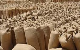 ترتيبات لبدء الموسم التسويقي الجديد لسوق محصولات الأبيض 5 المسار نيوز ترتيبات لبدء الموسم التسويقي الجديد لسوق محصولات الأبيض