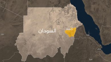 4.2 مليون يورو لتعزيز جودة خدمات الرعاية الصحية في كسلا 5 المسار نيوز 4.2 مليون يورو لتعزيز جودة خدمات الرعاية الصحية في كسلا