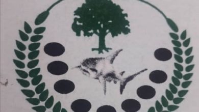 مجلس دينكا أبيي يرحب ببيان مجلس الأمن حول المنطقة 2 المسار نيوز مجلس دينكا أبيي يرحب ببيان مجلس الأمن حول المنطقة