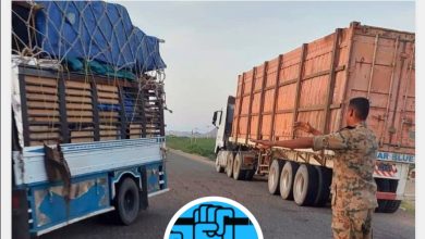 تحذير مهم من مرور البحر الأحمر للسائقين 2 المسار نيوز تحذير مهم من مرور البحر الأحمر للسائقين
